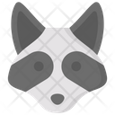 پیش‌نمایش فایل racoon-3836724 از پک حیوانات