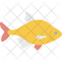 پیش‌نمایش فایل fish-3963128 از پک تغذیه