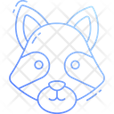پیش‌نمایش فایل racoon-4076141 از پک حیوانات