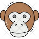 پیش‌نمایش فایل monkey-4075963 از پک حیوانات