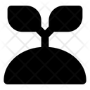 پیش‌نمایش فایل plant-5202457 از پک کشاورزی