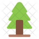 پیش‌نمایش فایل spruce-tree-6031663 از پک طبیعت و بوم‌شناسی