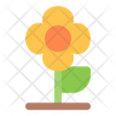 پیش‌نمایش فایل flower-6029658 از پک کشاورزی