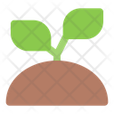 پیش‌نمایش فایل sprout-6029706 از پک کشاورزی