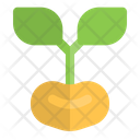 پیش‌نمایش فایل sprout-6454505 از پک طبیعت و بوم‌شناسی