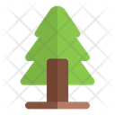 پیش‌نمایش فایل spruce-tree-6454506 از پک طبیعت و بوم‌شناسی
