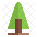 پیش‌نمایش فایل spruce-tree-6454507 از پک طبیعت و بوم‌شناسی