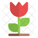 پیش‌نمایش فایل flower-6454553 از پک کشاورزی