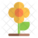 پیش‌نمایش فایل flower-6454555 از پک کشاورزی