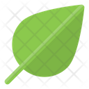 پیش‌نمایش فایل leaf-6454573 از پک کشاورزی