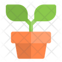 پیش‌نمایش فایل plant-in-pot-6454579 از پک کشاورزی
