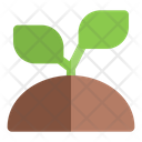 پیش‌نمایش فایل sprout-6454603 از پک کشاورزی
