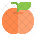 پیش‌نمایش فایل apricot-6484488 از پک غذا و میوه