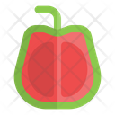 پیش‌نمایش فایل guava-6484523 از پک غذا و میوه