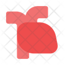 پیش‌نمایش فایل heart-6508472 از پک پزشکی
