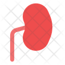 پیش‌نمایش فایل kidney-6508491 از پک پزشکی