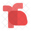پیش‌نمایش فایل heart-6823030 از پک پزشکی