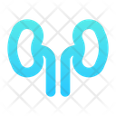 پیش‌نمایش فایل kidney-7512346 از پک پزشکی