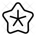 پیش‌نمایش فایل starfish-9863025 از پک طبیعت