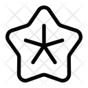 پیش‌نمایش فایل starfish-10387024 از پک تابستان
