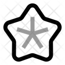 پیش‌نمایش فایل starfish-11792180 از پک طبیعت