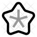 پیش‌نمایش فایل starfish-12628607 از پک تابستان