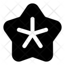 پیش‌نمایش فایل starfish-13290594 از پک طبیعت