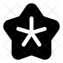 پیش‌نمایش فایل starfish-13465031 از پک تابستان