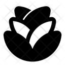 پیش‌نمایش فایل pinecone-13503087 از پک بهار
