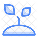 پیش‌نمایش فایل sprout-14535564 از پک طبیعت