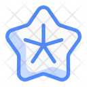 پیش‌نمایش فایل starfish-14535567 از پک طبیعت