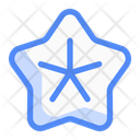 پیش‌نمایش فایل starfish-14643443 از پک تابستان