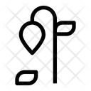 پیش‌نمایش فایل withered-plant-15093950 از پک پاییز
