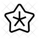 پیش‌نمایش فایل starfish-15136493 از پک تابستان
