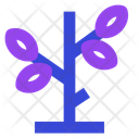 پیش‌نمایش فایل sapling-16767665 از پک بهار
