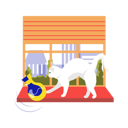 آیکن