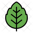 پیش‌نمایش فایل leaf-8688337 از پک روز محیط زیست