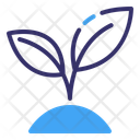 پیش‌نمایش فایل sprout-12038405 از پک بوم شناسی