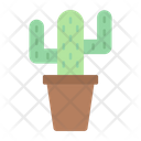 پیش‌نمایش فایل cactus-9024643 از پک زندگی خانوادگی