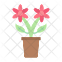 پیش‌نمایش فایل flower-pot-9024670 از پک زندگی خانوادگی