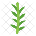 پیش‌نمایش فایل rosemary-9045011 از پک رستوران