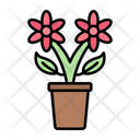 پیش‌نمایش فایل flower-pot-9082106 از پک زندگی خانوادگی