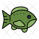 پیش‌نمایش فایل trout-9114107 از پک ماهیگیری