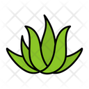 پیش‌نمایش فایل aloe-vera-9139340 از پک باغبانی