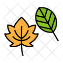 پیش‌نمایش فایل autumn-leaves-9139344 از پک باغبانی