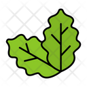 پیش‌نمایش فایل cabbage-9139354 از پک باغبانی