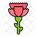 پیش‌نمایش فایل carnation-9139357 از پک باغبانی