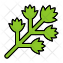 پیش‌نمایش فایل celery-9139360 از پک باغبانی