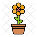 پیش‌نمایش فایل flower-pot-9139373 از پک باغبانی