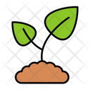 پیش‌نمایش فایل green-sprout-9139383 از پک باغبانی